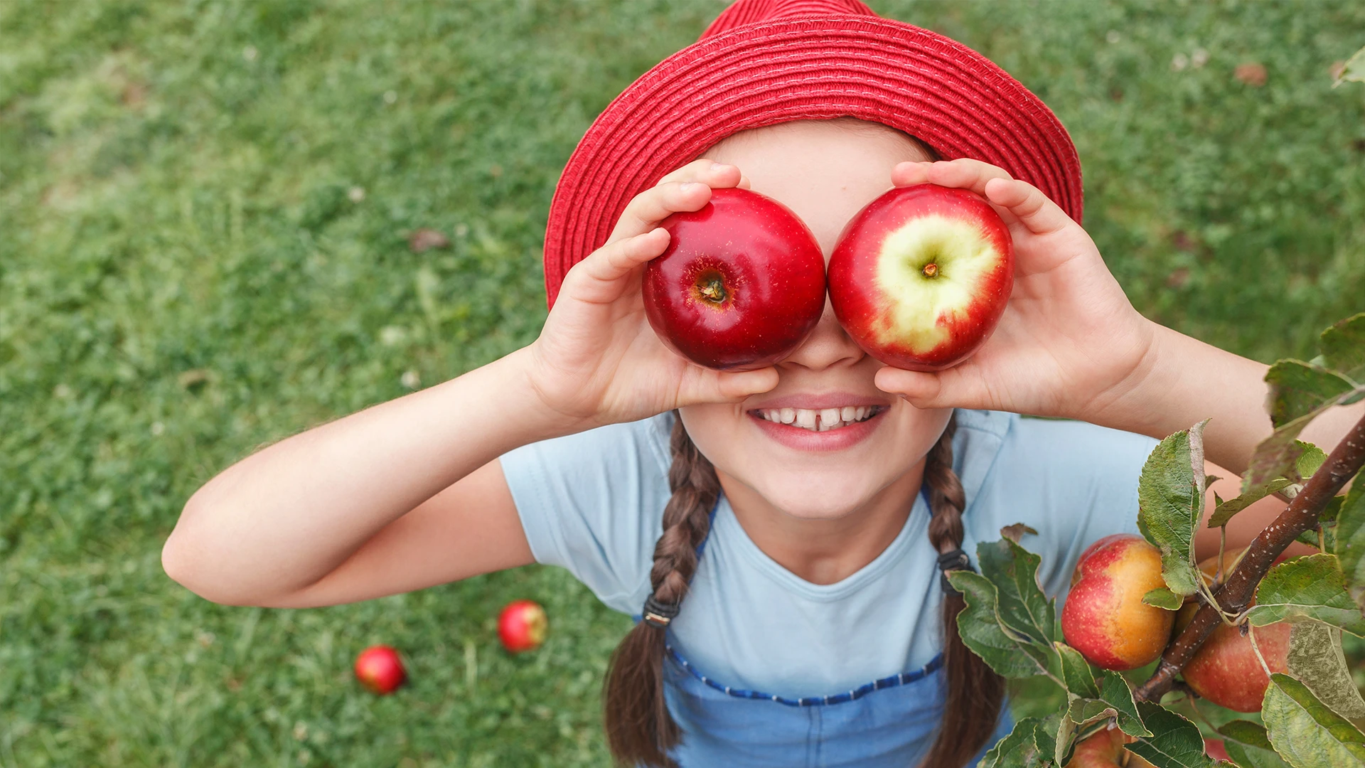 Ein Mädchen mit langen Zöpfen steht im Freien neben einem Apfelbaum und hält sich zwei Äpfel vor das Gesicht und lächelt